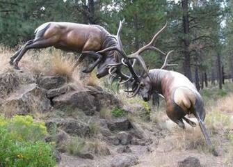 Bull Elk Wallpaper Bugling Monster