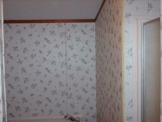 Painting On Vinyl Walls