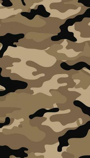 Camouflage Background