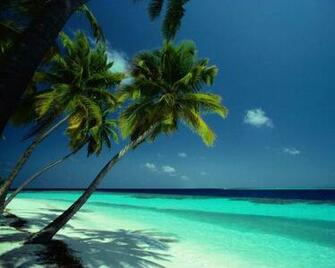 Screensavers Desktop Wallpaper Pictures