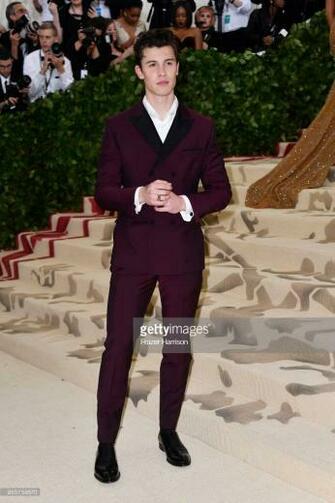 Shawn Mendes Met Gala Him In