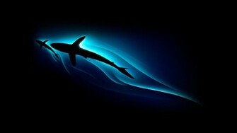 Cool Desktop Wallpaper Pictures In High Definition Or