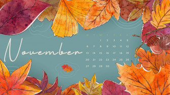 November By Sundrykate