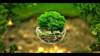 Wallpaper Keren Untuk Hp Android Dan Komputer