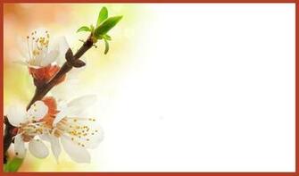 Elegant And Beautiful Wedding Invitations For