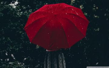 Las Dos Reinas Es Una Cinta Biogr Fica Aesthetic Wallpaper Rainy
