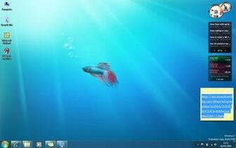 Windows Betta Fish Wallpaper Car Pictures