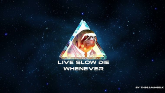 Sloth HD Wallpaper Windows By Thegamingelk
