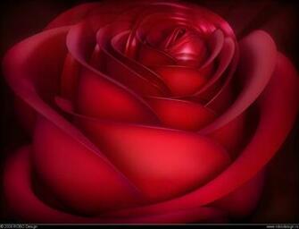 My S Of Life Love