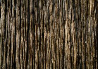 Techcredo Wood Texture Wallpaper Collection For Android