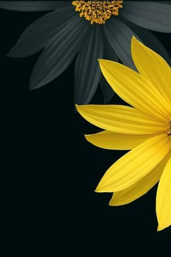 Black And Yellow Wallpaper iPhone HD