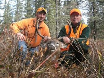 Whitetail Wallpaper HD North Outfitters Ontario Canada Deer