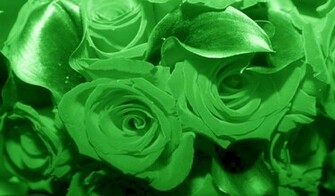 Flower Wallpaper Green