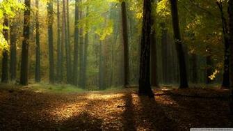 Serene Autumn Landscape Wallpaper MixHD