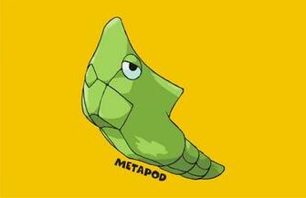 Pokemon Go Metapod Hq Wallpaper Full HD Pictures