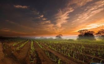 Farm Wallpaper