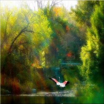 5105d61633 O Cool Wallpaper For iPad