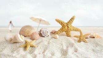 Summer Nature S Seashells Starfish Wallpaper HD