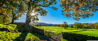 Beautiful England Nature Countryside Scenery Ultra HD Desktop