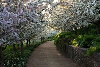 Spring Photos