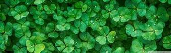 Happy St Patrick S Day 4k HD Desktop Wallpaper For