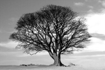 Black And White 3d Wallpaper