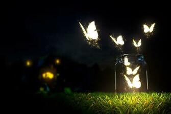 Glowing Butterfly Wallpaper HD Lighting