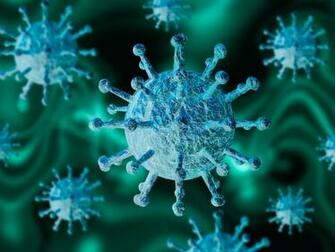 China S Hubei Province New Covid Coronavirus