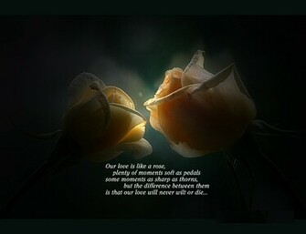 Sweet Love Quotes Wallpaper