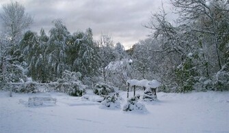 Snow Storm Wallpaper