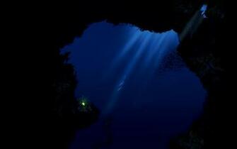 Deep Sea Wallpaper
