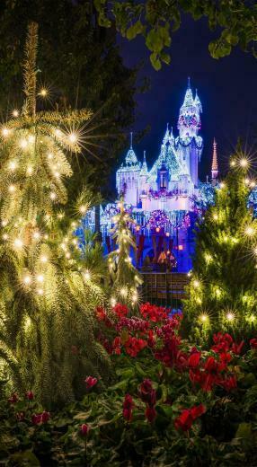 Disney iPhone Wallpaper Tourist