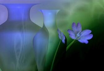 Reflection On The Vase Wallpaper