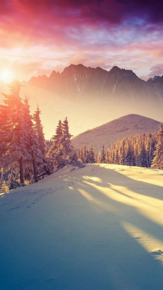 Winter iPhone Wallpaper Cute Background