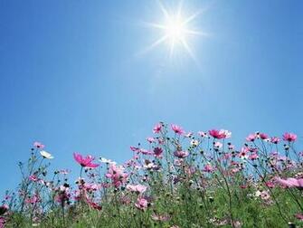 Background Sunny Sky Wallpaper For Desktop