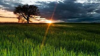 4k Sunshine Gallery HD Wallpaper Photos Image