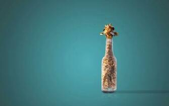 Giraffe In A Bottle Wallpaper Stock Photos