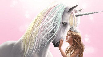 The Unicorn Princess