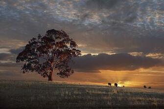 World Most Beautiful HD Desktop Amazing Wallpaper Collection