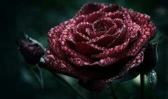 Gothic Dark Wallpaper Background