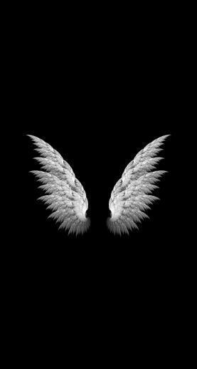 Angel Wings Simple iPhone Plus HD Wallpaper Ipod