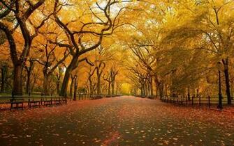 Autumn Scene Wallpaper Wallpaper55 Best