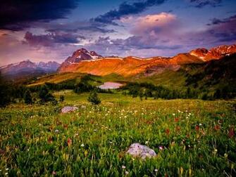 Summer Mountain Meadow Wallpaper