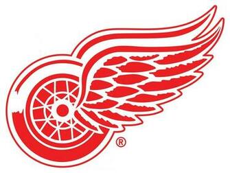 Detroit Red Wings Background Net