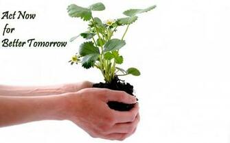 World Environment Day Slogans Pictures Quotes Wallpaper