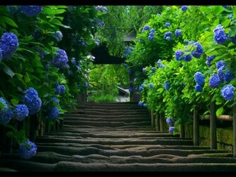 Url Wallpapertag Net Japanese Html