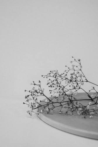 White Aesthetic Wallpaper For Phone At Isabella Jolly