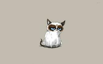 Grumpy Cat Meme Wallpaper Jpg