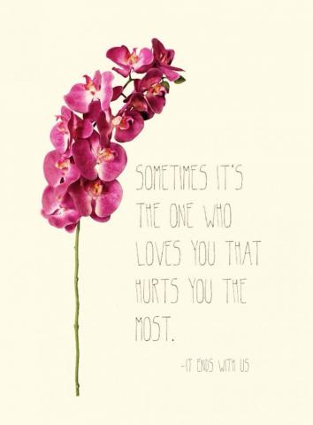 It Ends With Us Colleen Hoover This Book Will Hit You Right In