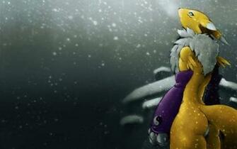 Renamon Digimon Desktop Wallpaper Ololoshenka